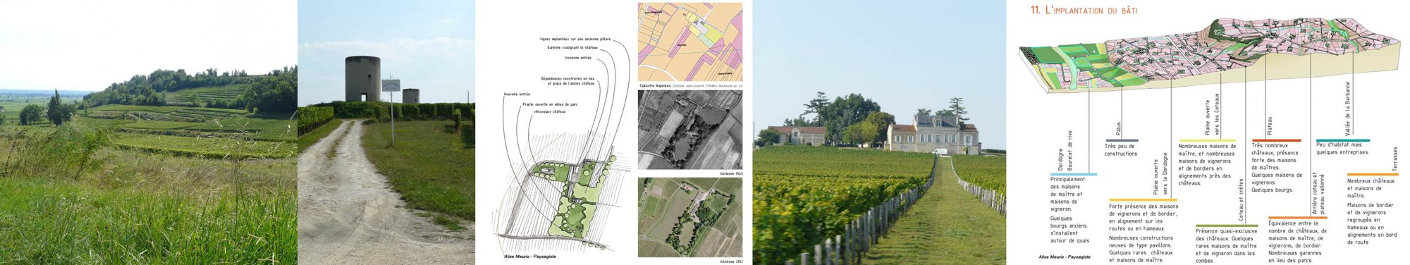 Une planche composée de photos de vignes, d'un chemin avec un moulin, de plans cartographiques et d'un bloc-diagramme sur l'implantation du bâti dans un paysage viticole.