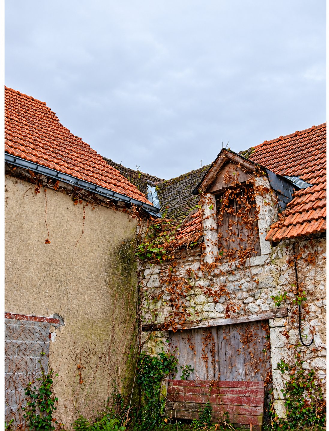 Bâtiment ancien en pierre et enduit avec une lucarne, une toiture en tuiles rouges abîmée et de la vigne vierge sur la façade.